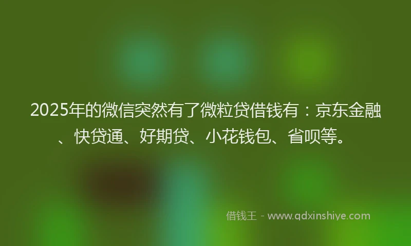 2025年的微信突然有了微粒贷借钱有：京东金融、快贷通、好期贷、小花钱包、省呗等。