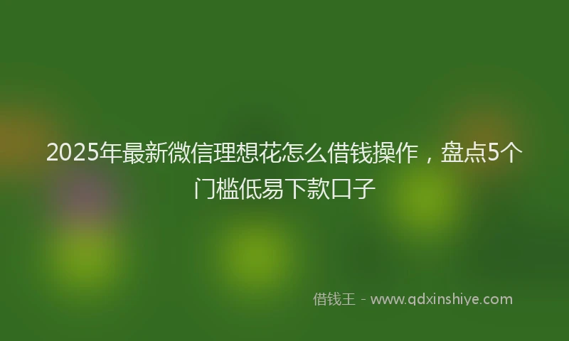 2025年最新微信理想花怎么借钱操作，盘点5个门槛低易下款口子