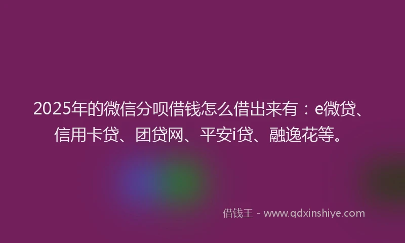 2025年的微信分呗借钱怎么借出来有：e微贷、信用卡贷、团贷网、平安i贷、融逸花等。