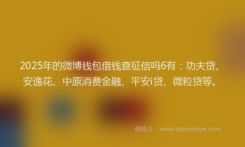 2025年的微博钱包借钱查征信吗6有：功夫贷、安逸花、中原消费金融、平安i贷、微粒贷等。