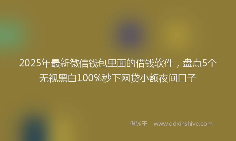 2025年最新微信钱包里面的借钱软件，盘点5个无视黑白100%秒下网贷小额夜间口子