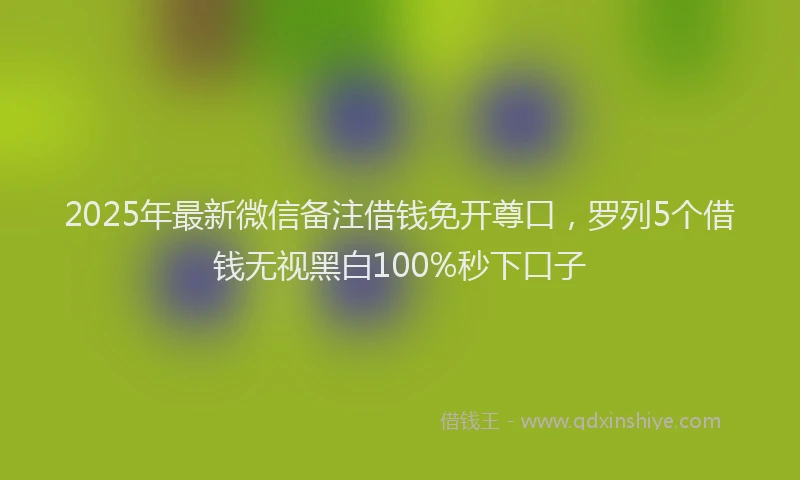 2025年最新微信备注借钱免开尊口，罗列5个借钱无视黑白100%秒下口子