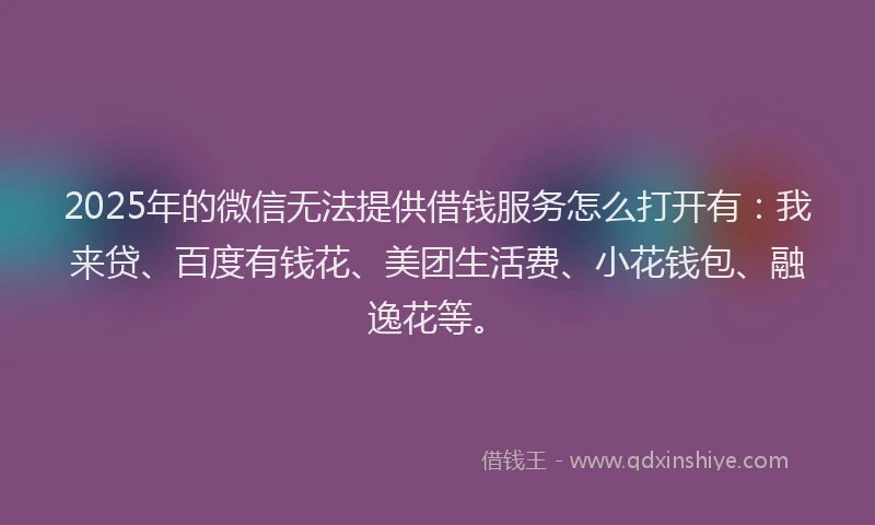 2025年的微信无法提供借钱服务怎么打开有：我来贷、百度有钱花、美团生活费、小花钱包、融逸花等。