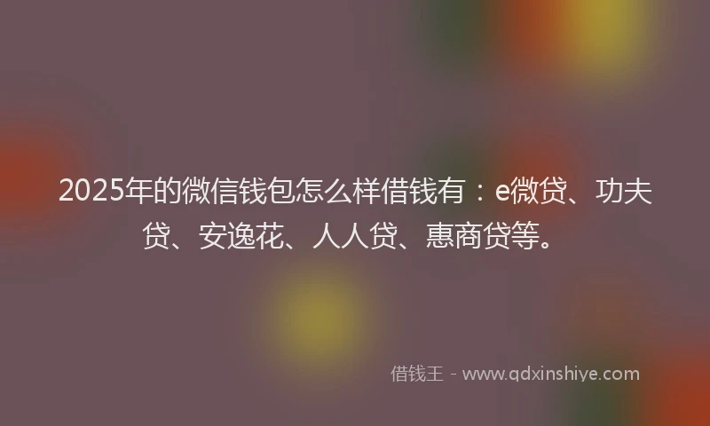 2025年的微信钱包怎么样借钱有：e微贷、功夫贷、安逸花、人人贷、惠商贷等。