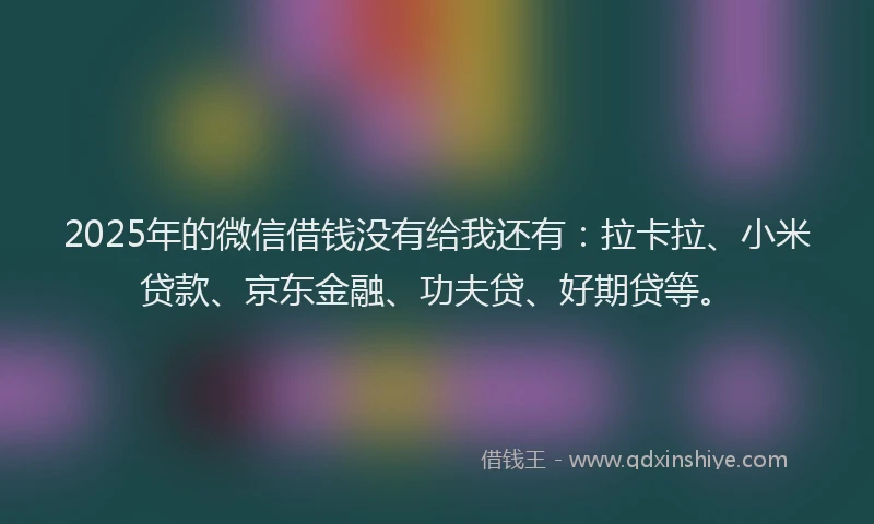 2025年的微信借钱没有给我还有：拉卡拉、小米贷款、京东金融、功夫贷、好期贷等。