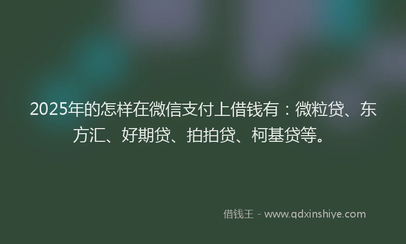 2025年的怎样在微信支付上借钱有：微粒贷、东方汇、好期贷、拍拍贷、柯基贷等。