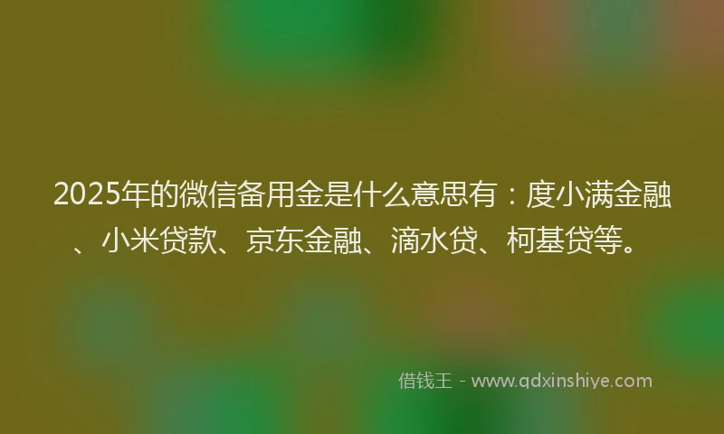 2025年的微信备用金是什么意思有：度小满金融、小米贷款、京东金融、滴水贷、柯基贷等。