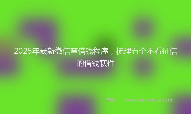 2025年最新微信查借钱程序，梳理五个不看征信的借钱软件