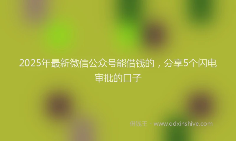 2025年最新微信公众号能借钱的，分享5个闪电审批的口子