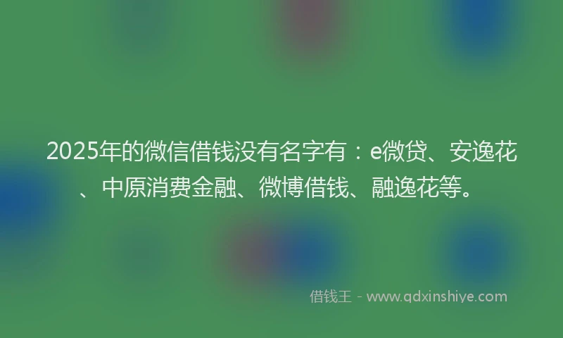 2025年的微信借钱没有名字有：e微贷、安逸花、中原消费金融、微博借钱、融逸花等。