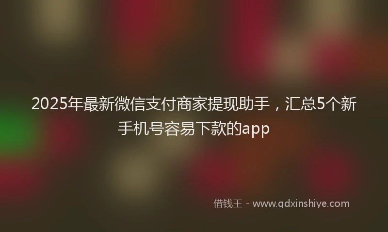 2025年最新微信支付商家提现助手，汇总5个新手机号容易下款的app