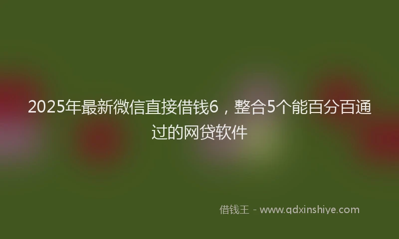 2025年最新微信直接借钱6，整合5个能百分百通过的网贷软件