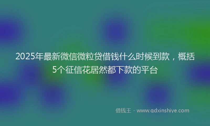 2025年最新微信微粒贷借钱什么时候到款，概括5个征信花居然都下款的平台