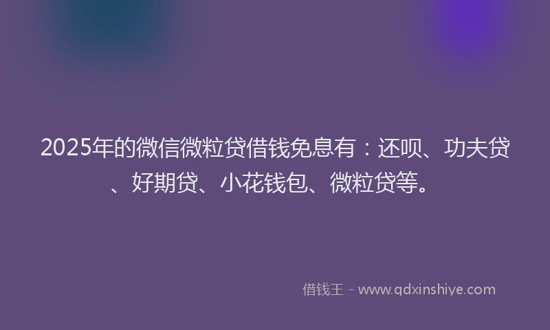 2025年的微信微粒贷借钱免息有：还呗、功夫贷、好期贷、小花钱包、微粒贷等。