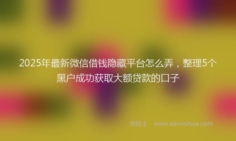 2025年最新微信借钱隐藏平台怎么弄，整理5个黑户成功获取大额贷款的口子