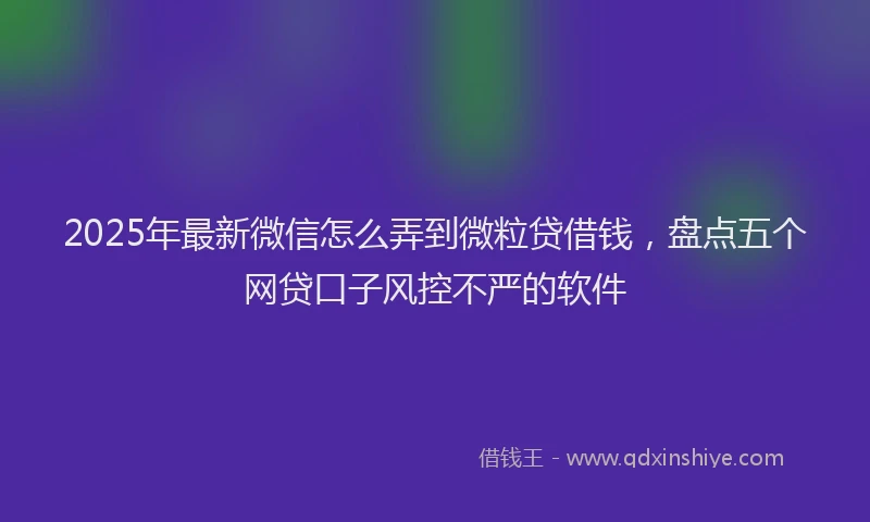 2025年最新微信怎么弄到微粒贷借钱，盘点五个网贷口子风控不严的软件