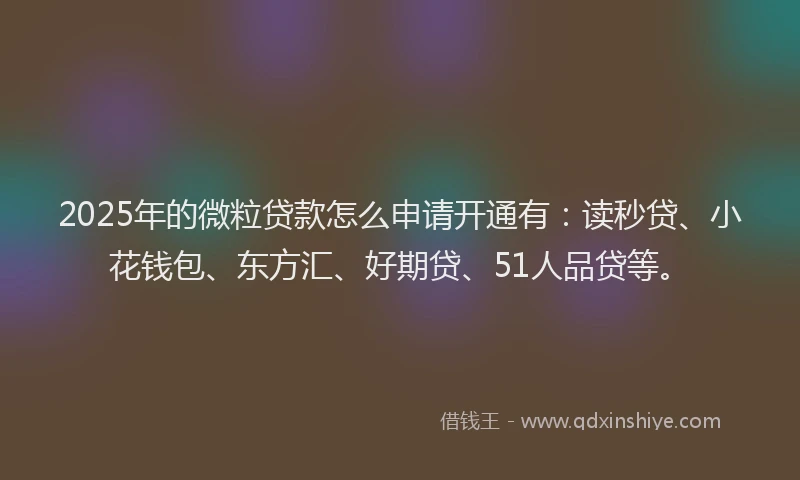 2025年的微粒贷款怎么申请开通有：读秒贷、小花钱包、东方汇、好期贷、51人品贷等。