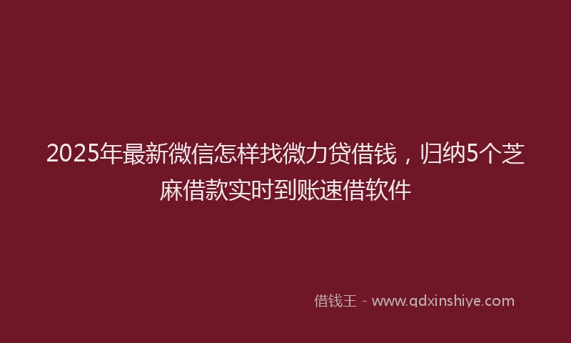 2025年最新微信怎样找微力贷借钱，归纳5个芝麻借款实时到账速借软件