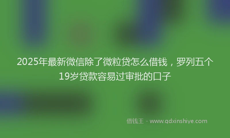 2025年最新微信除了微粒贷怎么借钱，罗列五个19岁贷款容易过审批的口子