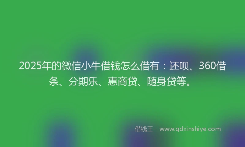 2025年的微信小牛借钱怎么借有：还呗、360借条、分期乐、惠商贷、随身贷等。