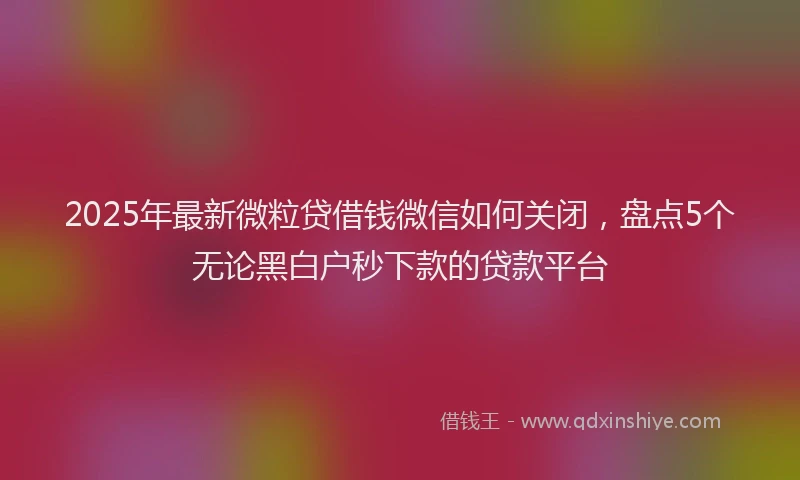 2025年最新微粒贷借钱微信如何关闭，盘点5个无论黑白户秒下款的贷款平台