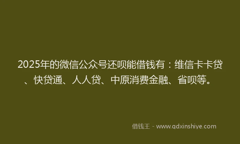 2025年的微信公众号还呗能借钱有：维信卡卡贷、快贷通、人人贷、中原消费金融、省呗等。