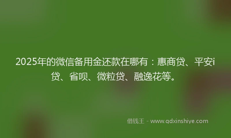 2025年的微信备用金还款在哪有：惠商贷、平安i贷、省呗、微粒贷、融逸花等。