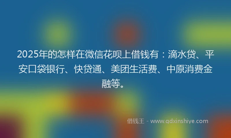 2025年的怎样在微信花呗上借钱有：滴水贷、平安口袋银行、快贷通、美团生活费、中原消费金融等。