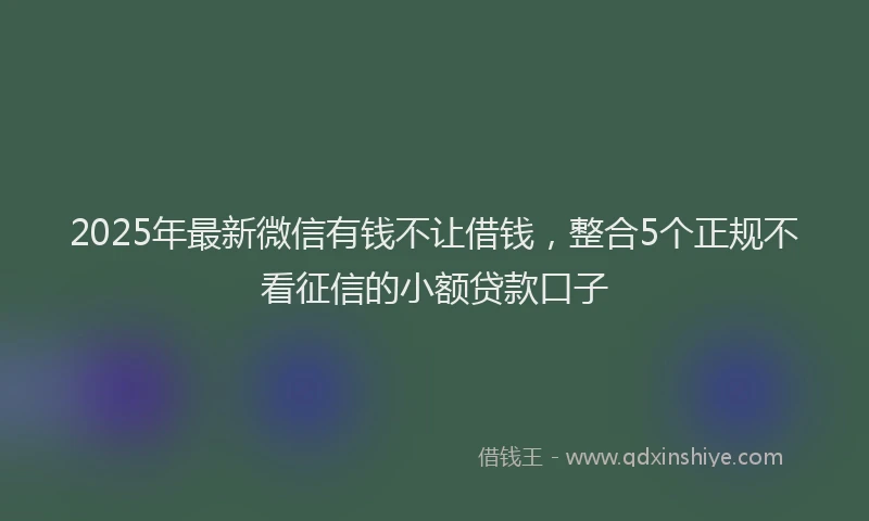 2025年最新微信有钱不让借钱，整合5个正规不看征信的小额贷款口子