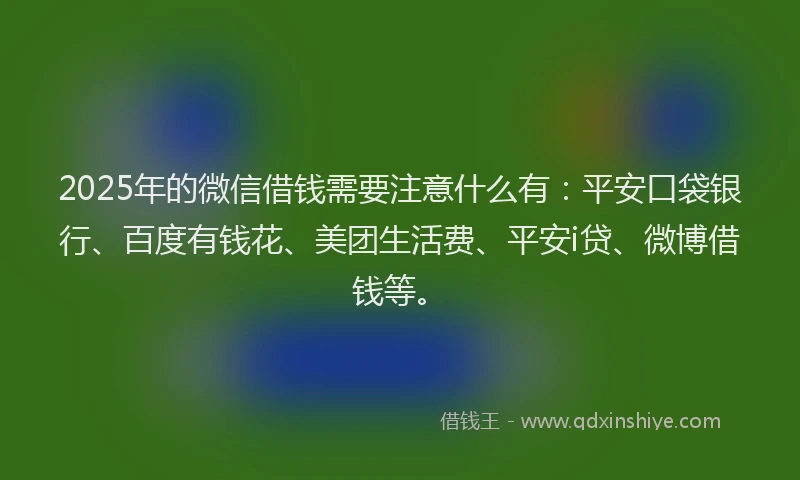 2025年的微信借钱需要注意什么有：平安口袋银行、百度有钱花、美团生活费、平安i贷、微博借钱等。