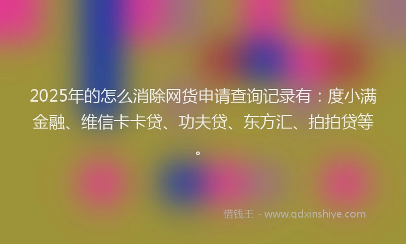 2025年的怎么消除网货申请查询记录有：度小满金融、维信卡卡贷、功夫贷、东方汇、拍拍贷等。