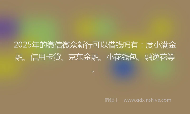 2025年的微信微众新行可以借钱吗有：度小满金融、信用卡贷、京东金融、小花钱包、融逸花等。
