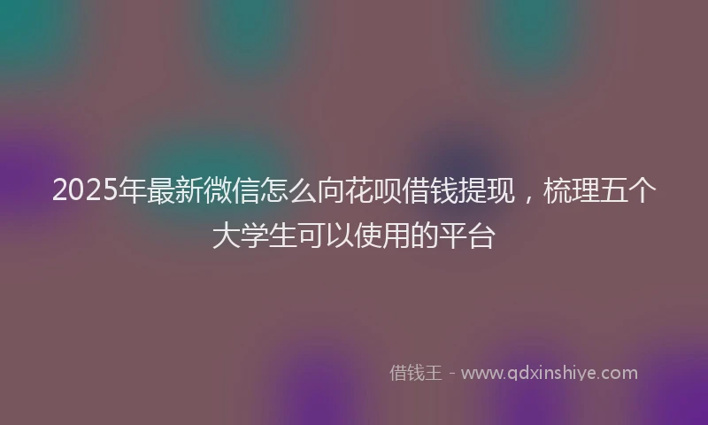 2025年最新微信怎么向花呗借钱提现，梳理五个大学生可以使用的平台
