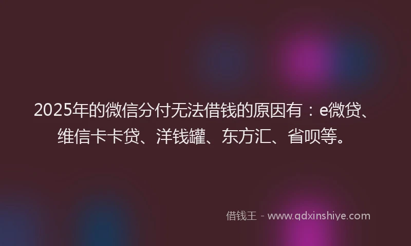 2025年的微信分付无法借钱的原因有：e微贷、维信卡卡贷、洋钱罐、东方汇、省呗等。