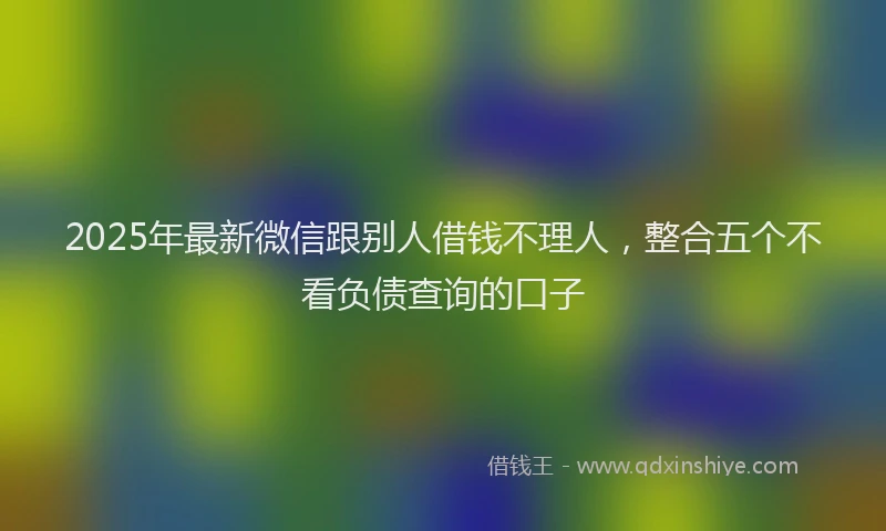 2025年最新微信跟别人借钱不理人，整合五个不看负债查询的口子