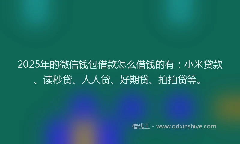 2025年的微信钱包借款怎么借钱的有：小米贷款、读秒贷、人人贷、好期贷、拍拍贷等。