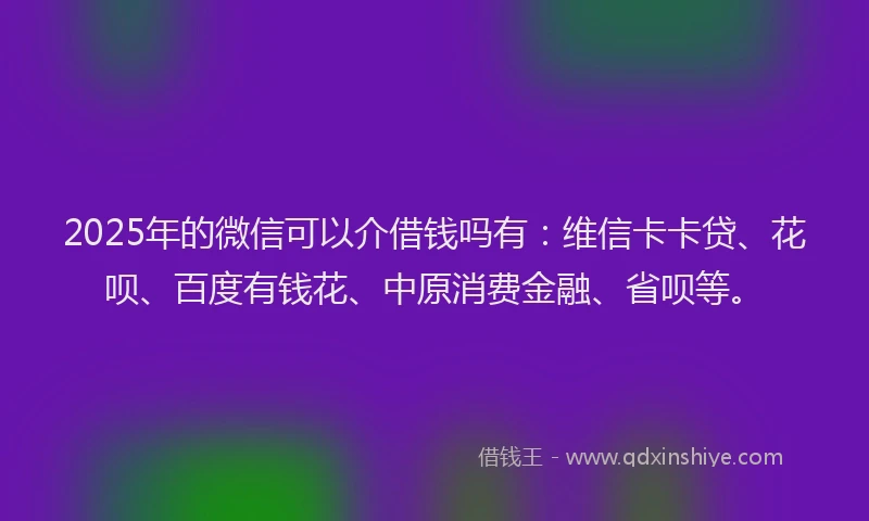 2025年的微信可以介借钱吗有：维信卡卡贷、花呗、百度有钱花、中原消费金融、省呗等。