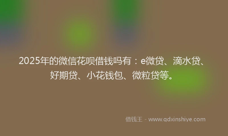 2025年的微信花呗借钱吗有：e微贷、滴水贷、好期贷、小花钱包、微粒贷等。