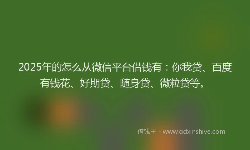 2025年的怎么从微信平台借钱有：你我贷、百度有钱花、好期贷、随身贷、微粒贷等。