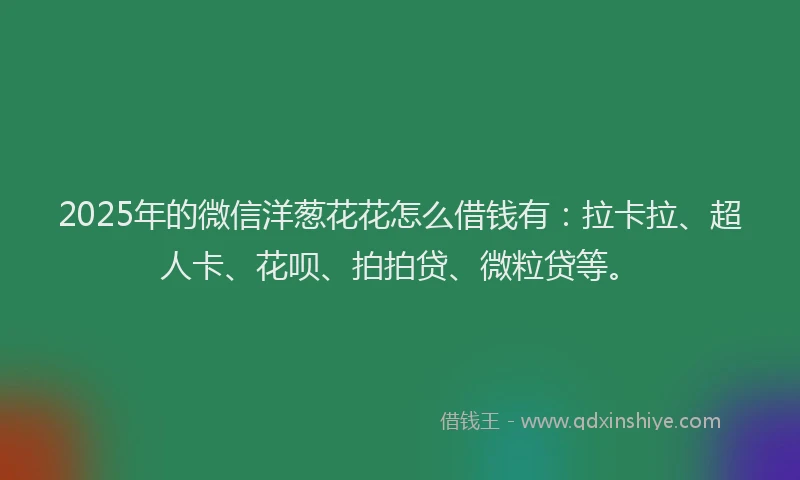 2025年的微信洋葱花花怎么借钱有：拉卡拉、超人卡、花呗、拍拍贷、微粒贷等。