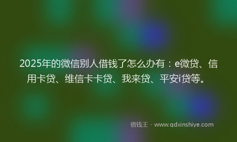 2025年的微信别人借钱了怎么办有：e微贷、信用卡贷、维信卡卡贷、我来贷、平安i贷等。