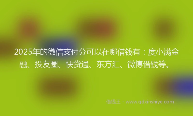 2025年的微信支付分可以在哪借钱有：度小满金融、投友圈、快贷通、东方汇、微博借钱等。