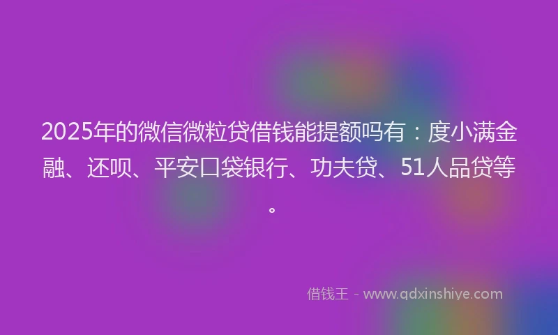 2025年的微信微粒贷借钱能提额吗有：度小满金融、还呗、平安口袋银行、功夫贷、51人品贷等。