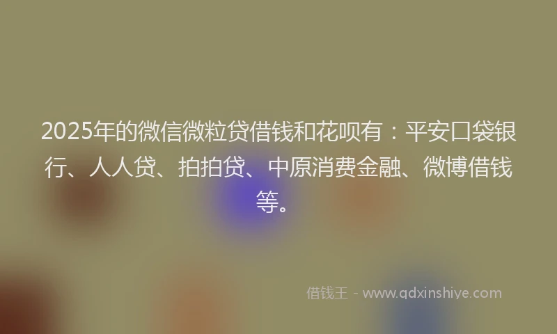 2025年的微信微粒贷借钱和花呗有：平安口袋银行、人人贷、拍拍贷、中原消费金融、微博借钱等。