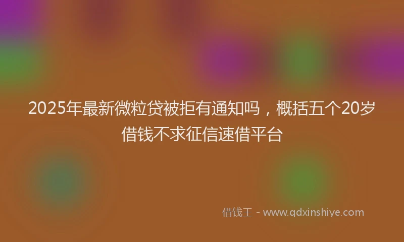 2025年最新微粒贷被拒有通知吗，概括五个20岁借钱不求征信速借平台