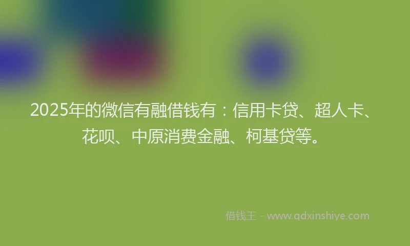 2025年的微信有融借钱有：信用卡贷、超人卡、花呗、中原消费金融、柯基贷等。
