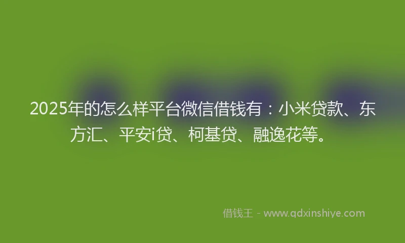 2025年的怎么样平台微信借钱有：小米贷款、东方汇、平安i贷、柯基贷、融逸花等。