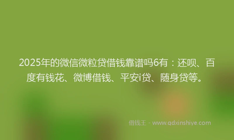 2025年的微信微粒贷借钱靠谱吗6有：还呗、百度有钱花、微博借钱、平安i贷、随身贷等。