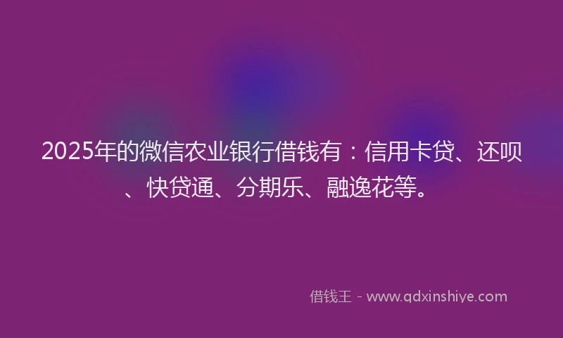 2025年的微信农业银行借钱有：信用卡贷、还呗、快贷通、分期乐、融逸花等。