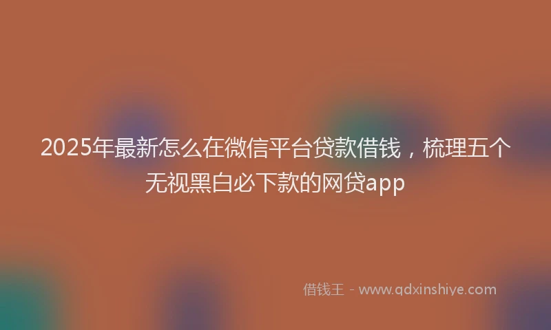 2025年最新怎么在微信平台贷款借钱，梳理五个无视黑白必下款的网贷app